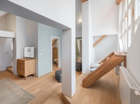 Blue Oak