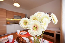 Císarka Apartment