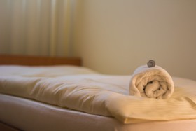 Hotel Wolf