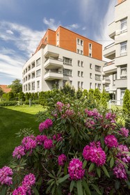 Albertov Rental Apartments