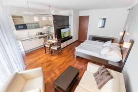 Albertov Rental Apartments