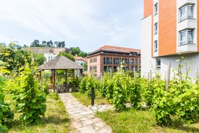 Albertov Rental Apartments