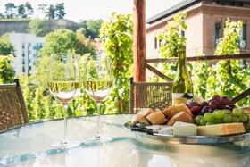 Albertov Rental Apartments