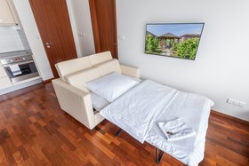 Albertov Rental Apartments