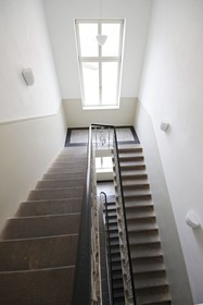 Alveo Suites