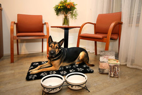 Andel Apartments Praha