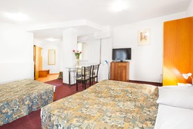 Apartment House Zizkov