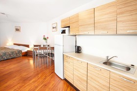 Apartment House Zizkov