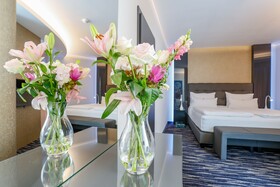 Dancing House Hotel