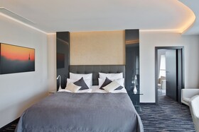 Dancing House Hotel
