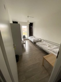 Hostel Homér Liben