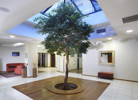 The Hotel Fitzgerald