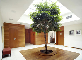 The Hotel Fitzgerald