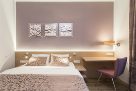 Hotel Carol