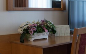 Hotel Globus