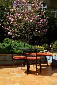 Hotel Roma
