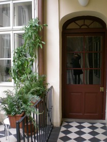 Little Town Budget Hotel - Hostel