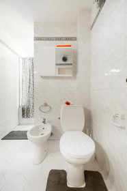 Ostrovni Astra Apartments