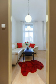 The Castle Apartments