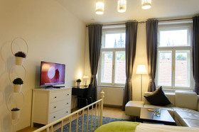 The Castle Apartments