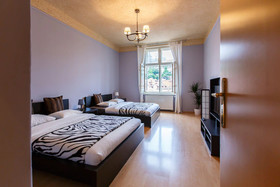 The Castle Apartments