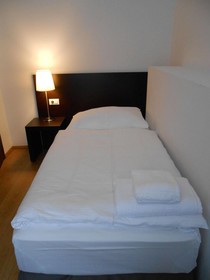The Palace Suites and Apartments