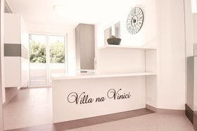Villa Na Vinici