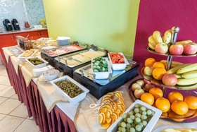 NOVUM Hotel Vitkov