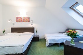NOVUM Hotel Vitkov