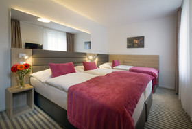 Hotel White Lion