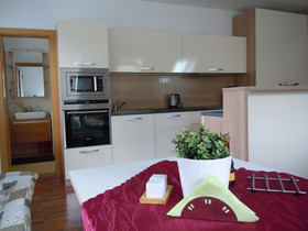 Apartmany Vlckova