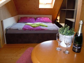 Apartmany Vlckova