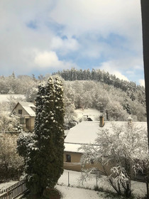 Apartmany Vlckova