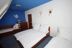 Active Wellness Hotel U Zlaté rybky