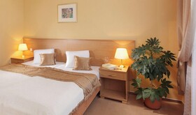 Lazensky Hotel Savoy