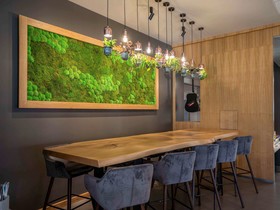 ibis Plzen
