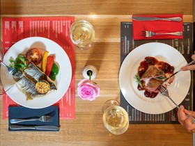 ibis Plzen