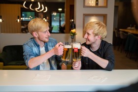 ibis Plzen