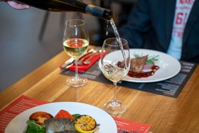 ibis Plzen