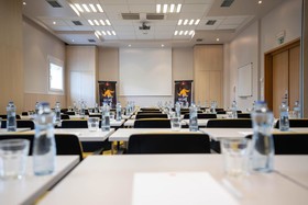 ibis Plzen