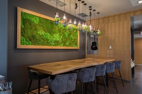 ibis Plzen