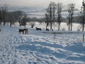 Penzion Hradisko