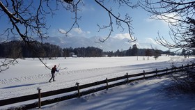 Das Talgut