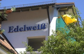 Edelweiss