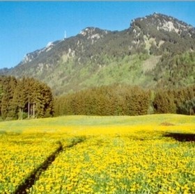 Gasthof Grüntenblick