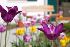 Landhotel Gockelwirt