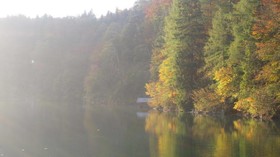 Alpenstuben