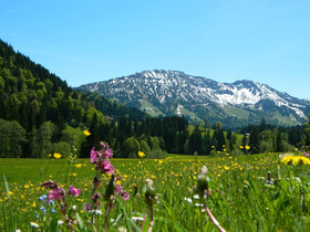 Berg- und Aktivhotel Edelsberg