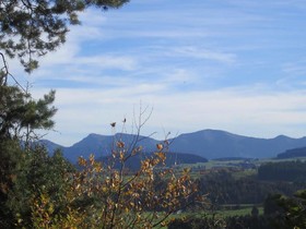 Gasthof zur Rose