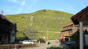 Altenberg